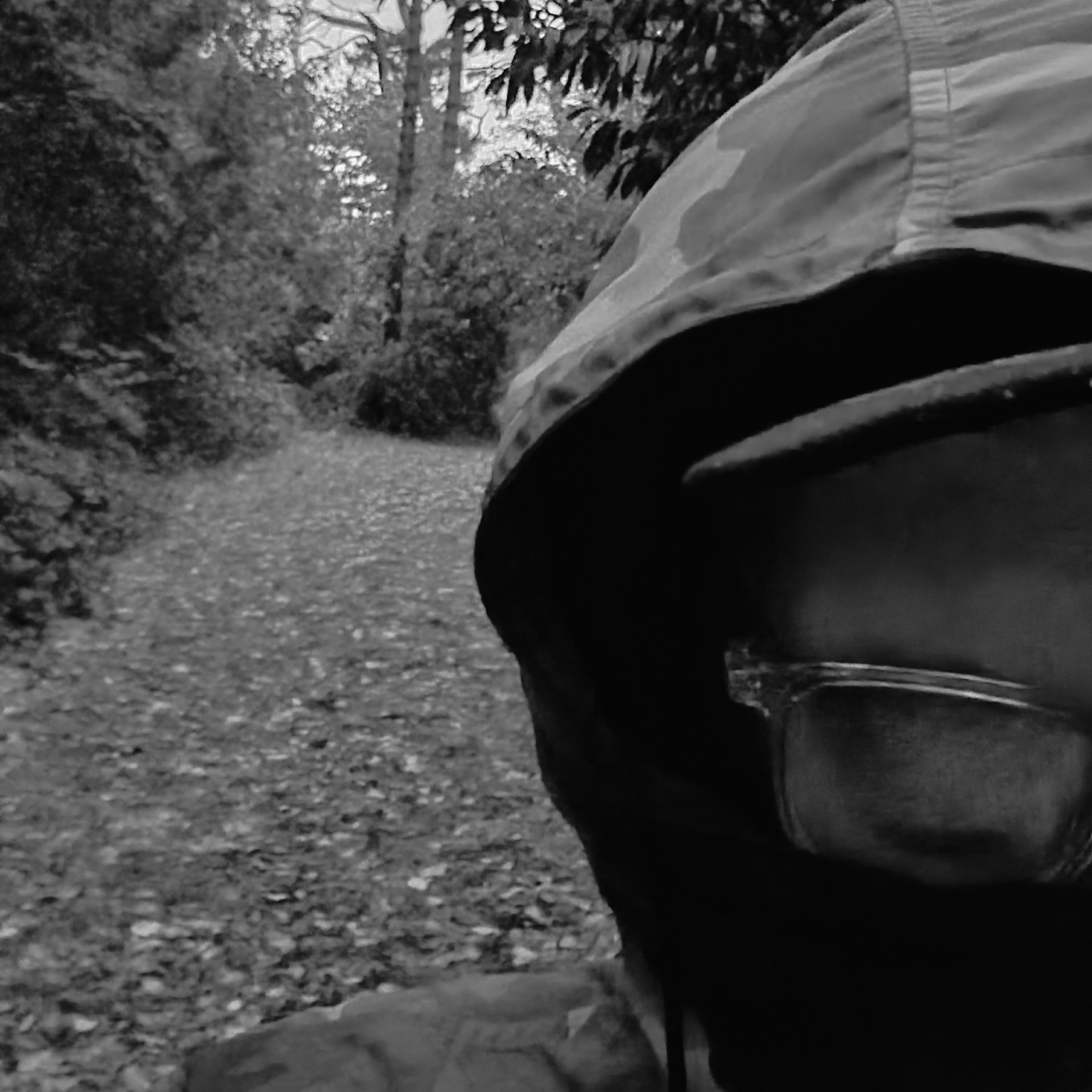 The artist walks on a forest path, face half visible under a hood.